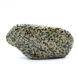 Dalmatian Jasper Free-Form