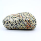 Dalmatian Jasper Free-Form