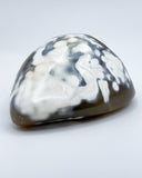 Freeform Polished Orca Agate Specimen