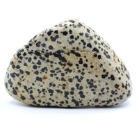 Dalmatian Jasper Free-Form