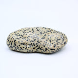 Dalmatian Jasper Free-Form