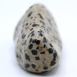 Dalmatian Jasper Free-Form