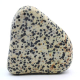 Dalmatian Jasper Free-Form