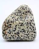 Dalmatian Jasper Free-Form