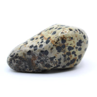 Dalmatian Jasper Free-Form