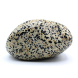 Dalmatian Jasper Free-Form