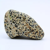 Dalmatian Jasper Free-Form