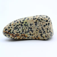 Dalmatian Jasper Free-Form