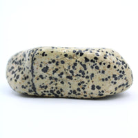 Dalmatian Jasper Free-Form