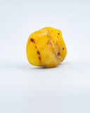 Polished Baltic Amber Specimen