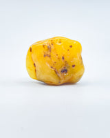 Polished Baltic Amber Specimen