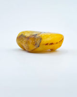 Polished Baltic Amber Specimen