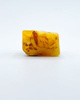 Polished Baltic Amber Specimen