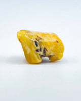 Polished Baltic Amber Specimen