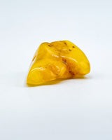 Polished Baltic Amber Specimen