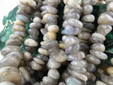 Labradorite Tumbled Bead Strands, 10-15mm