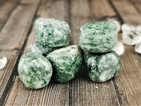 Tree Agate Tumbled Stones