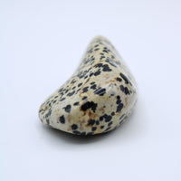 Dalmatian Jasper Free-Form