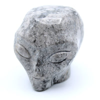 Picasso Marble  Jasper Alien Head Carving