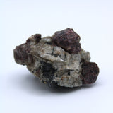 Eudialyte Specimen